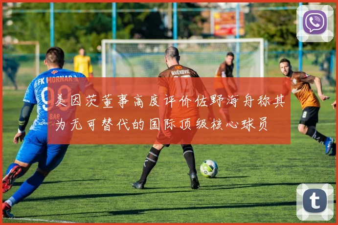 美因茨董事高度评价佐野海舟称其为无可替代的国际顶级核心球员